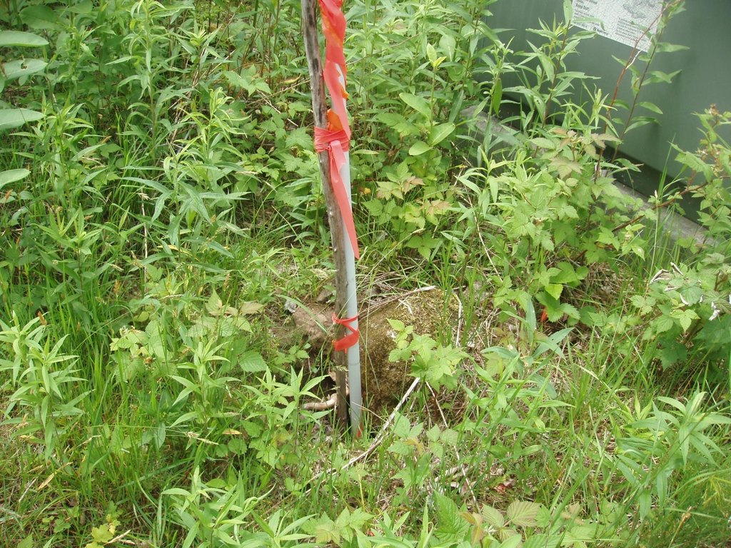 Picture 10