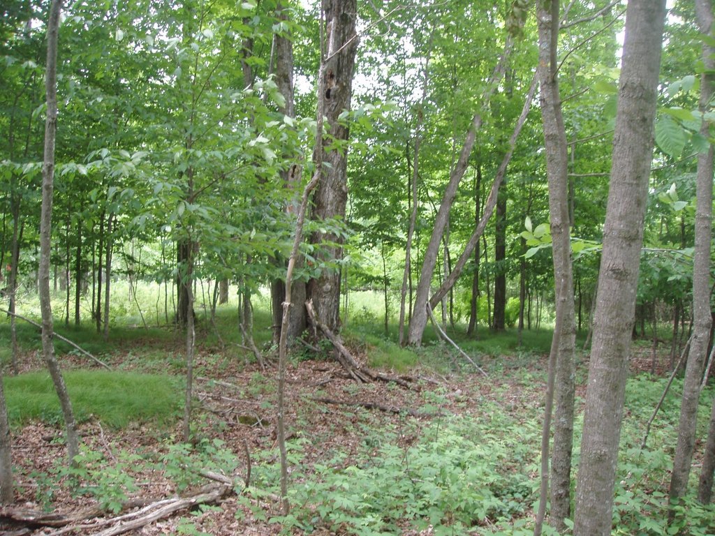 Picture 3