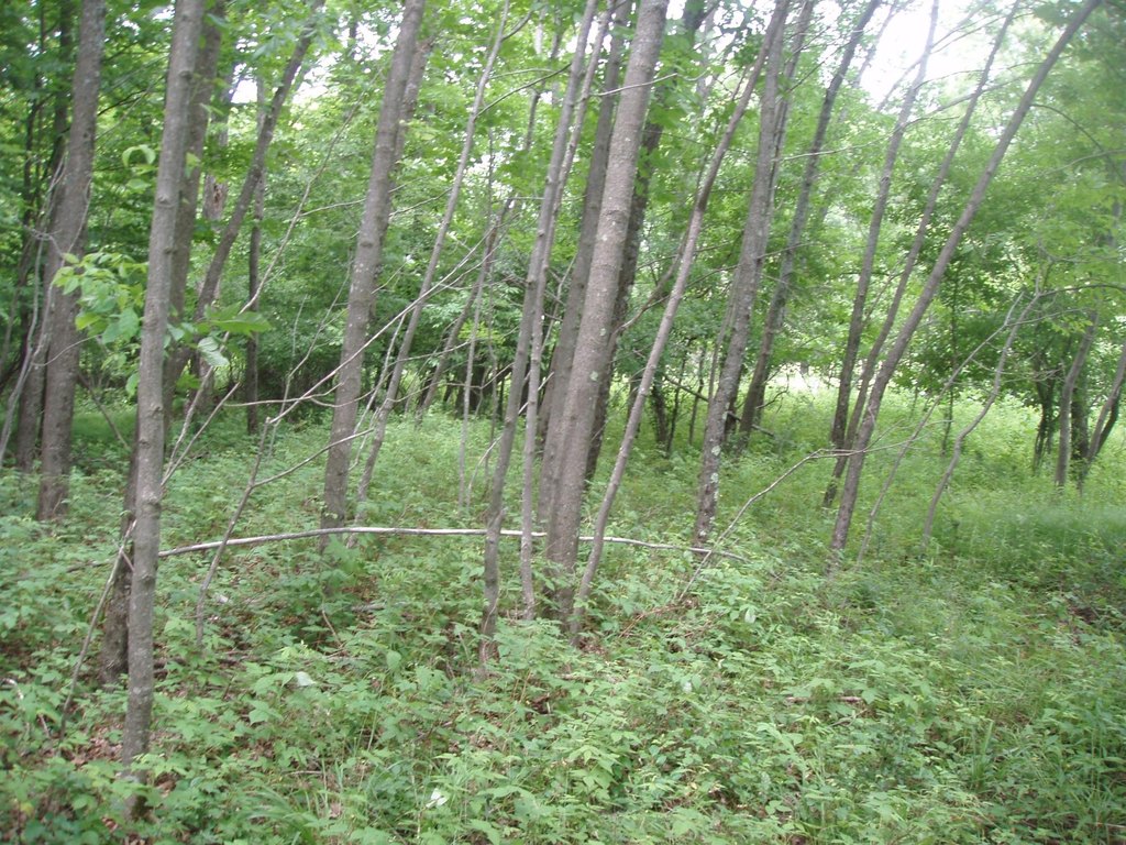 Picture 4