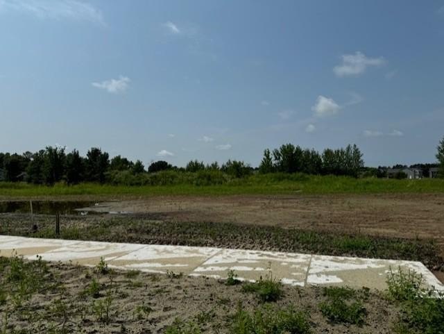 Picture 6
