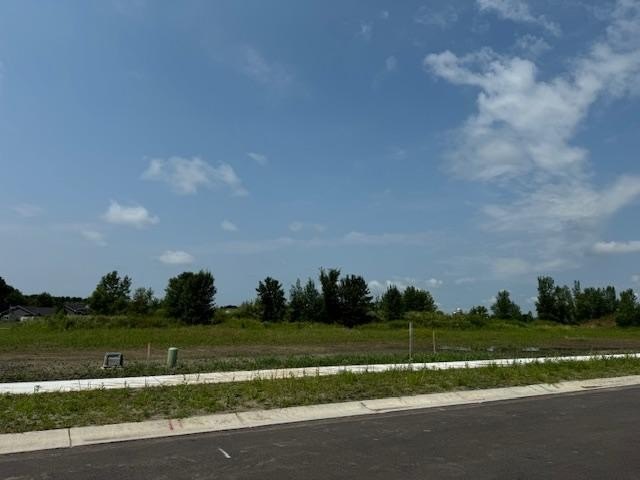 Picture 7