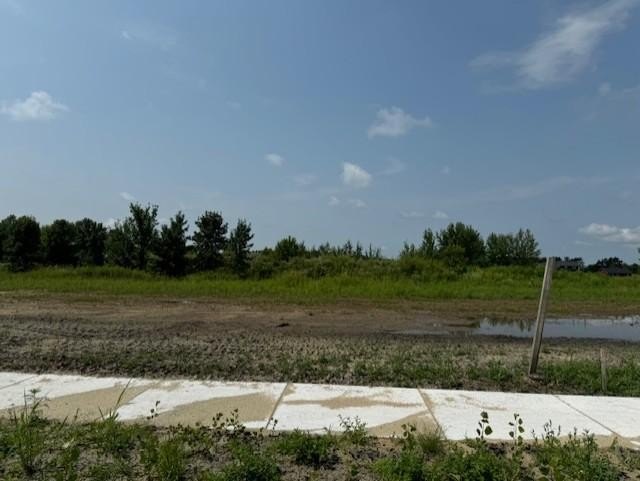 Picture 12