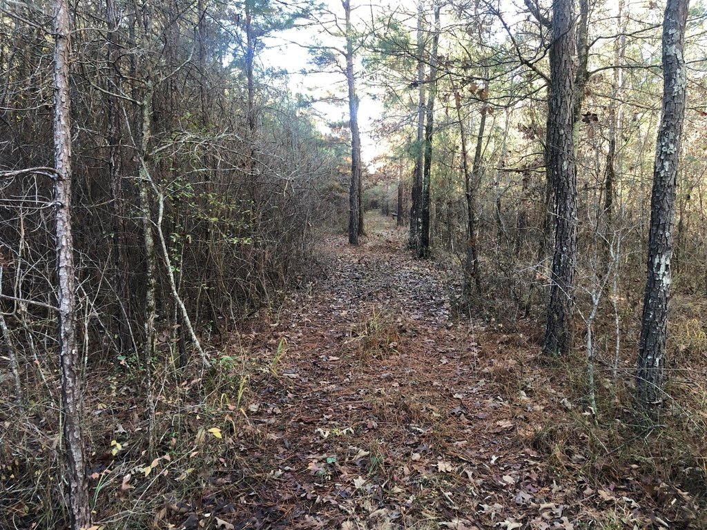 Picture 12