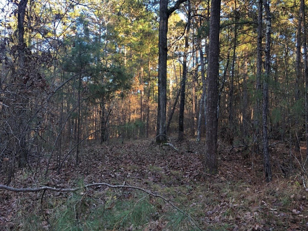 Picture 36