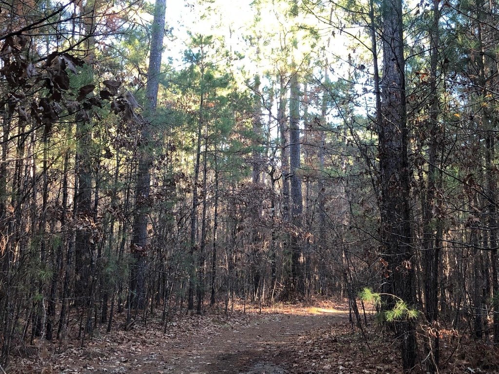 Picture 25