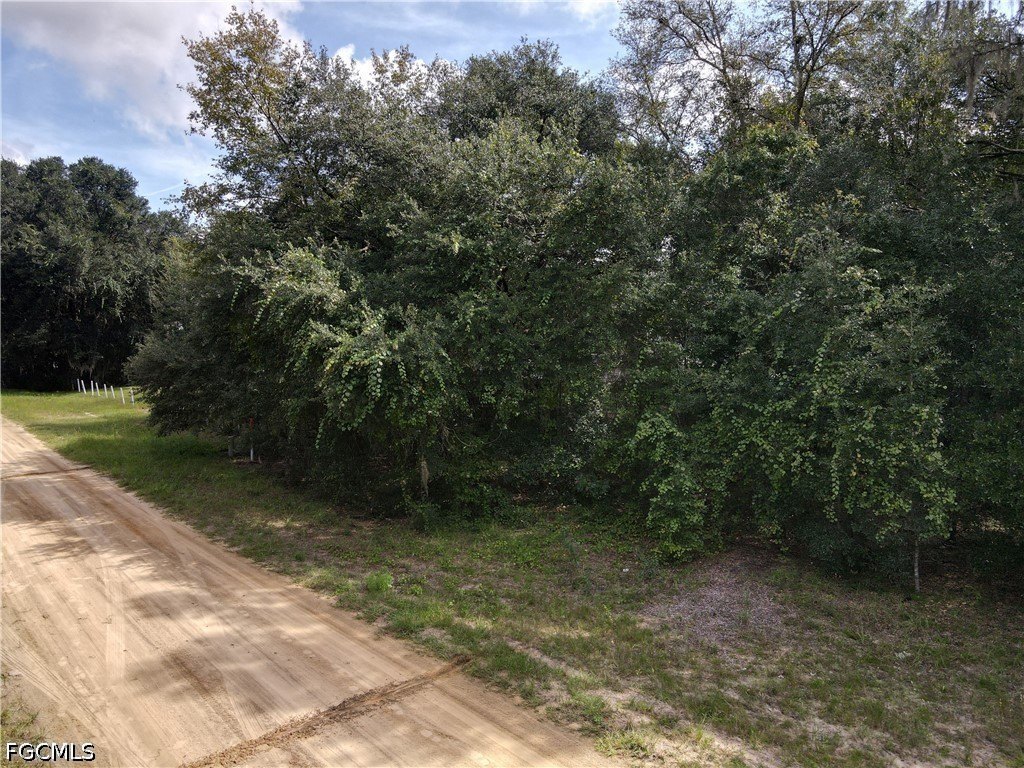 Picture 23