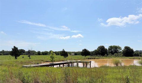 3 Acres with Pond in Jewett