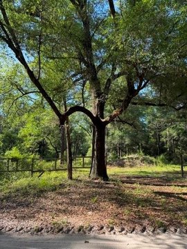 Agricultural Land Parcel with Well