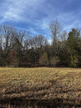 Land Near Ouachita National Forest