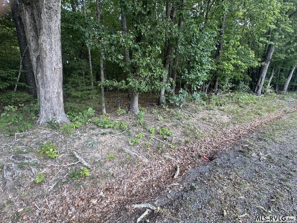 Picture 15