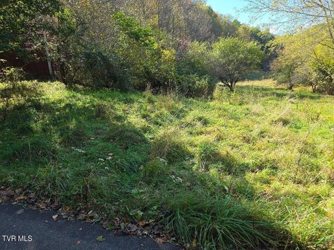Land, Trade, TN