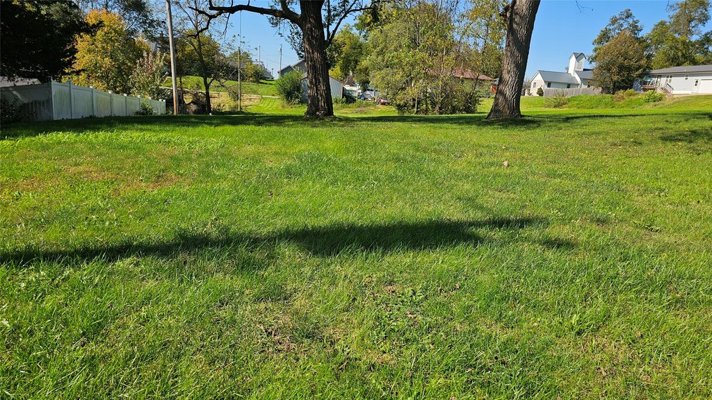 Picture 3