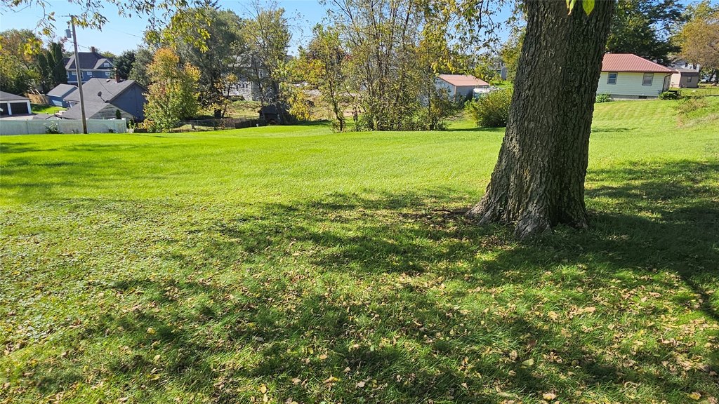 Picture 5