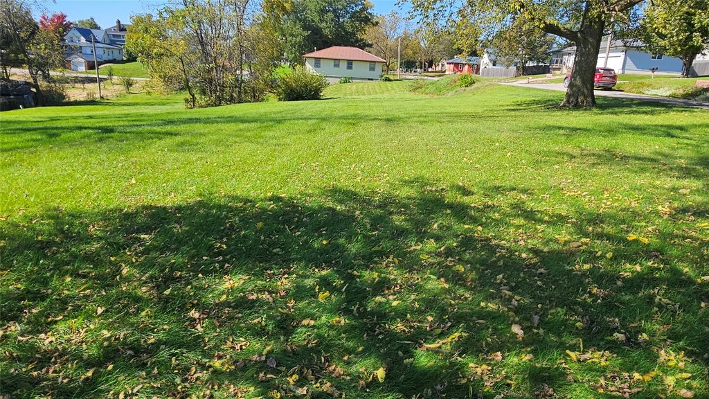 Picture 6
