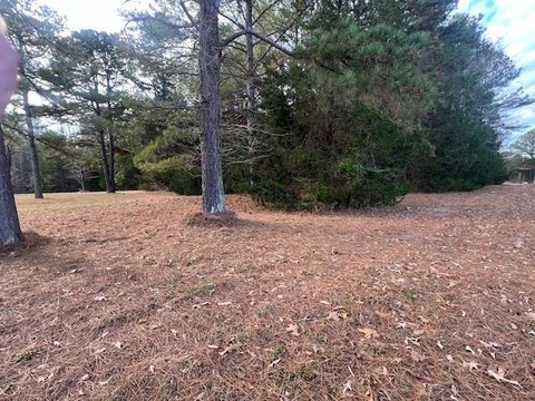 South Hill Wooded Land Parcel
