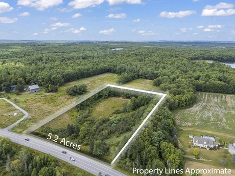 Prime Route 1 Frontage Land