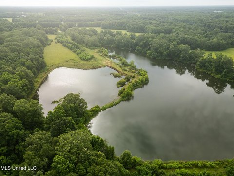 78 Acres in Zachary, LA