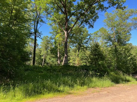 Riverfront Residential Lot with Timber