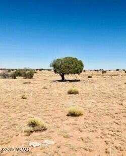 36.75 Acres Ranch Property