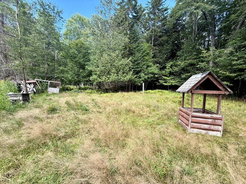 Picture 5