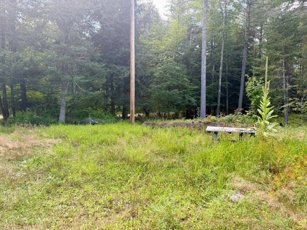 Picture 8