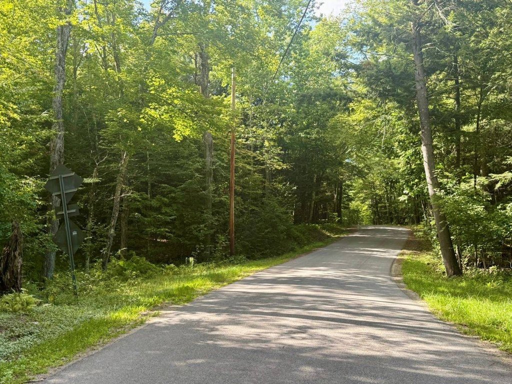 Picture 15