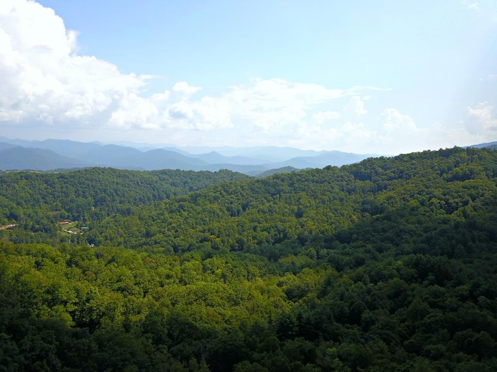 Private Mountain Acres Ready to Build