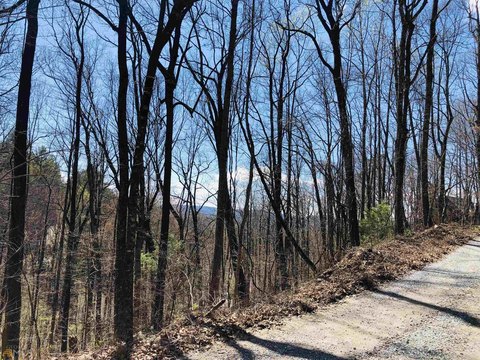 Land in Screamer Mountain Area