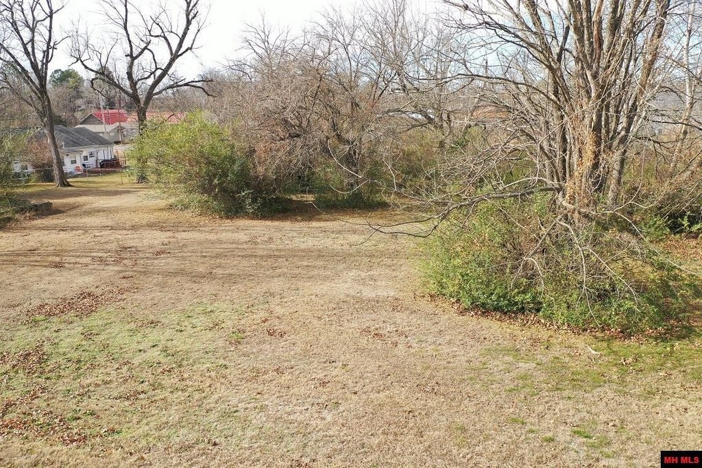 Picture 19