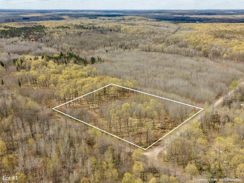 Wooded Land Parcel in Tipler