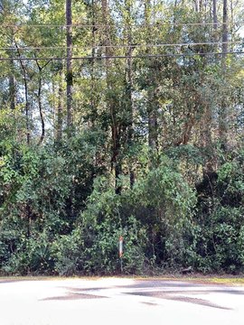 Land, Tallahassee, FL