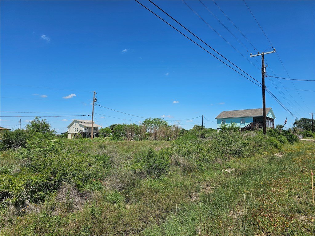 Picture 6