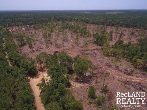 Land, Kelly, LA