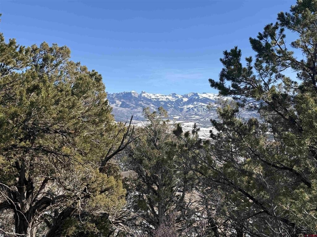 Picture 24