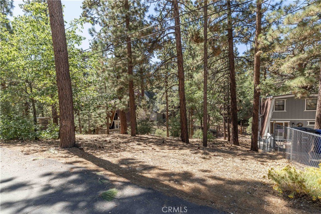 Treed Lot in Sugarloaf, CA