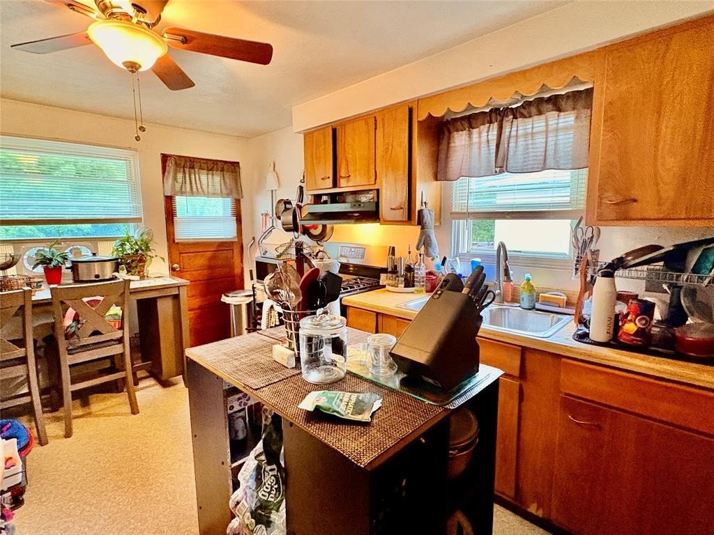 Picture 17