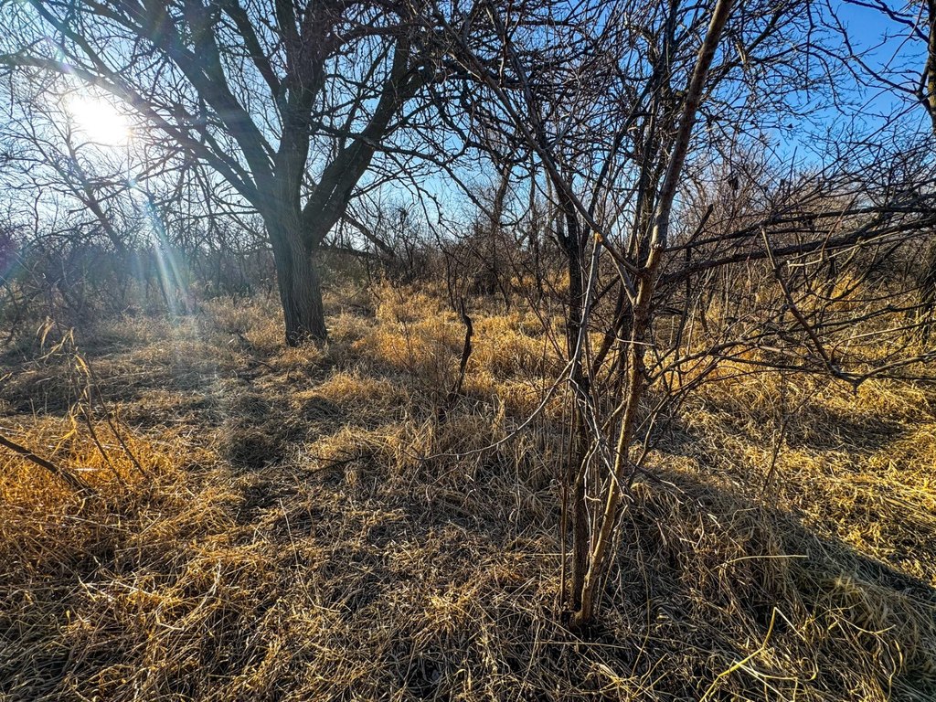 Picture 36