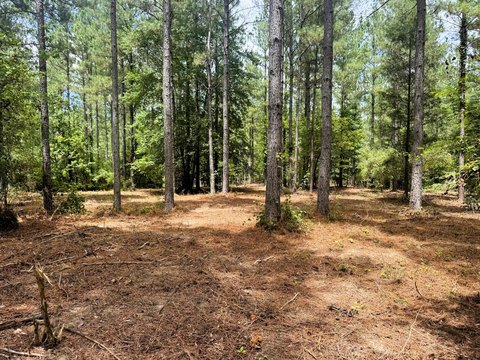 20 Acres Usable Land