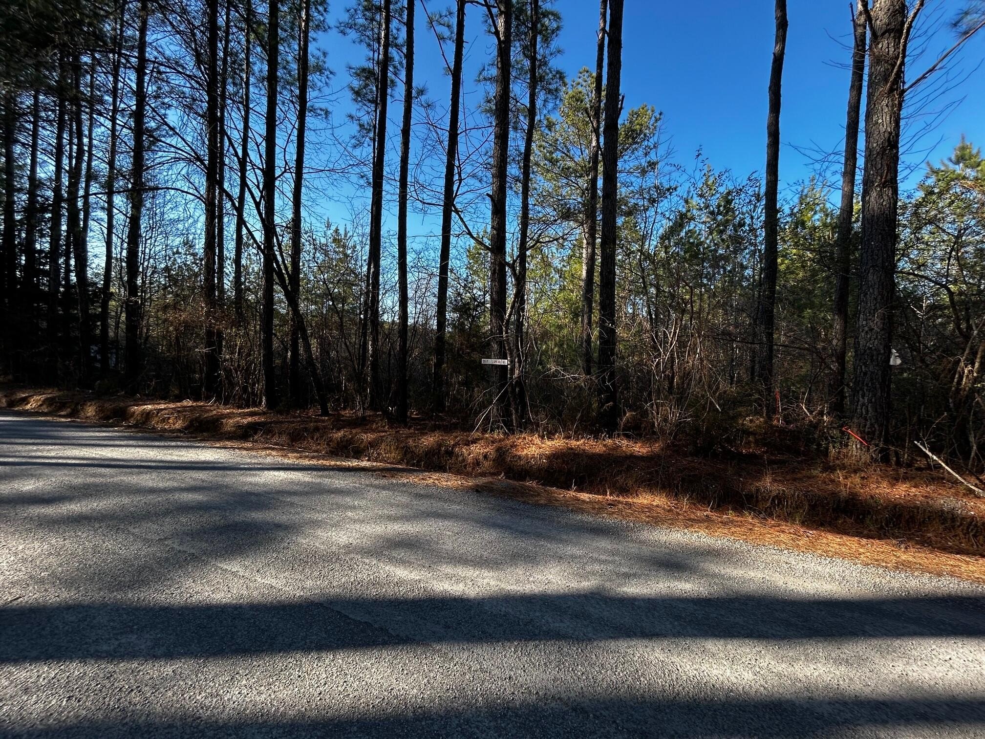 20 Acres Usable Land