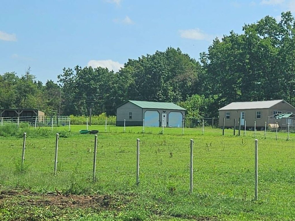Picture 6