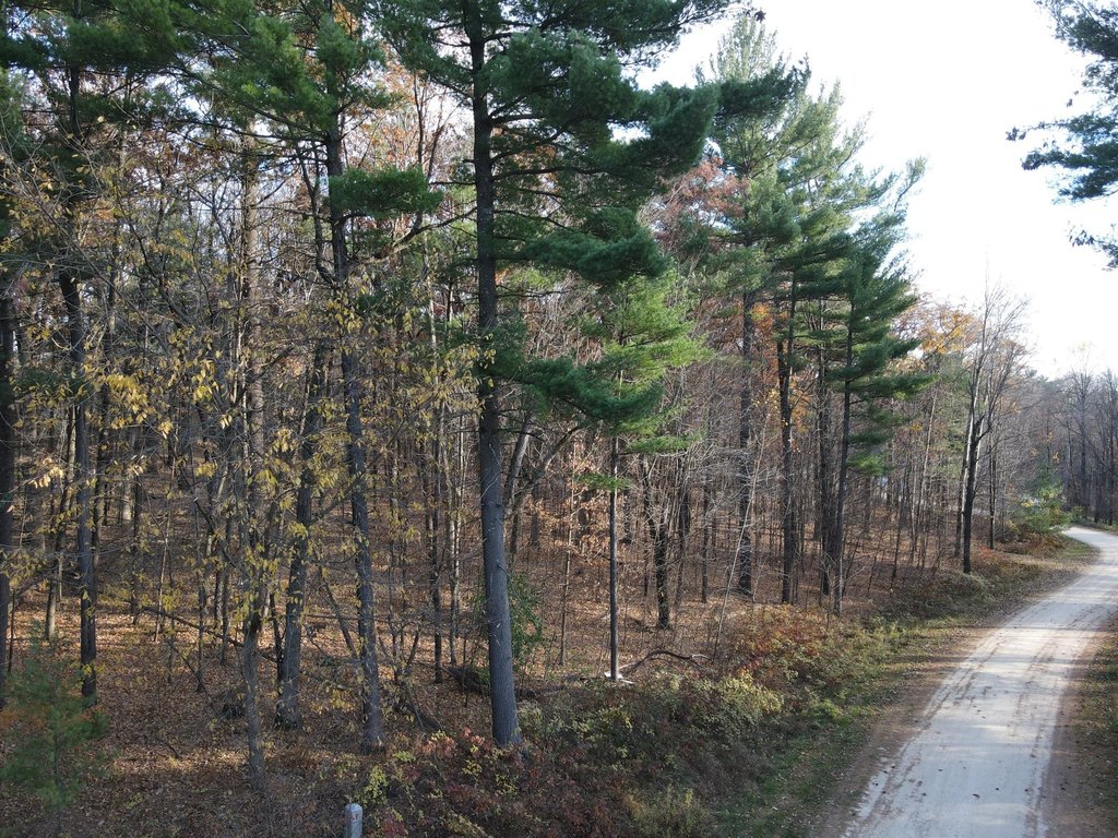 Picture 5