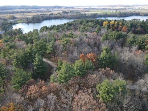 Wooded Lot Near Eau Galle