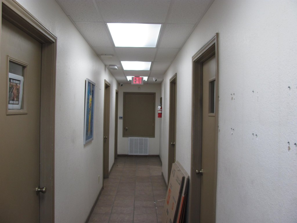 Picture 7