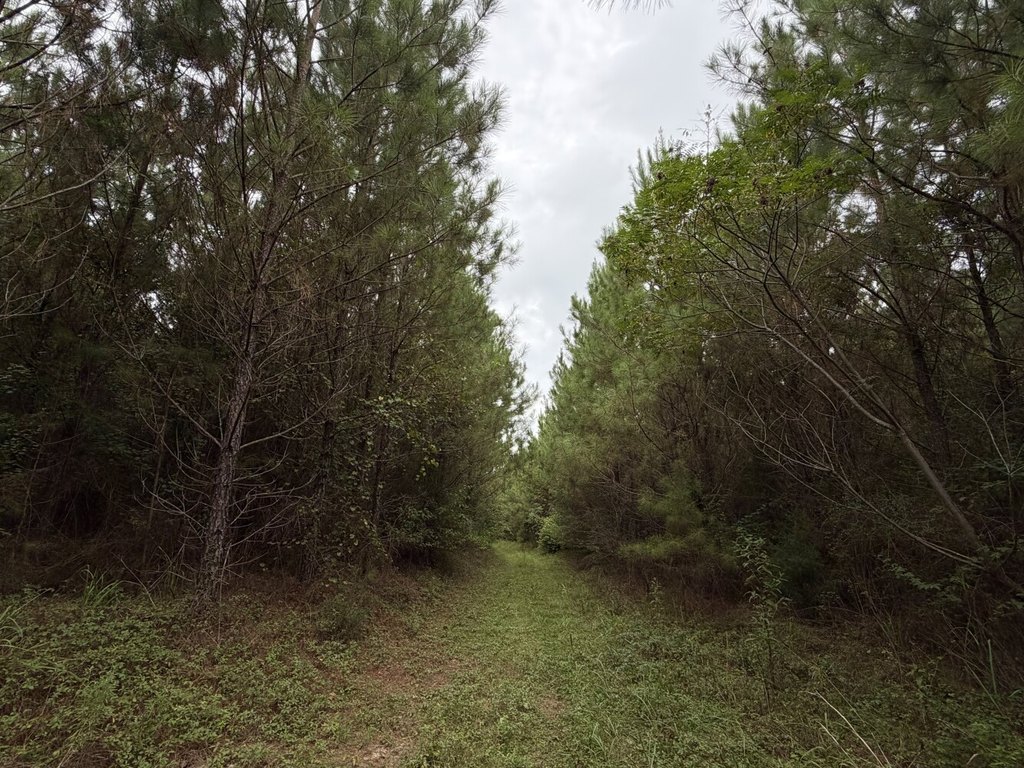 Picture 10