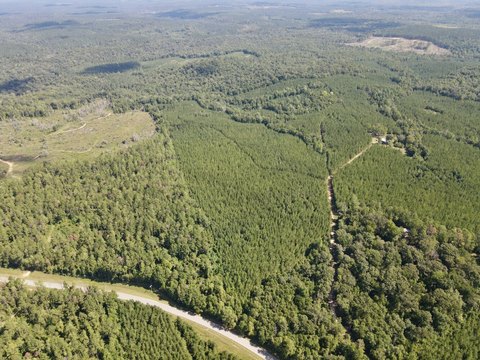 Land, Jackson, AL