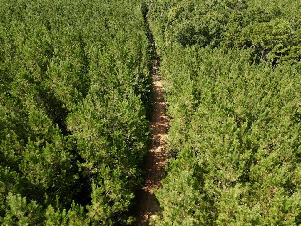 Picture 3