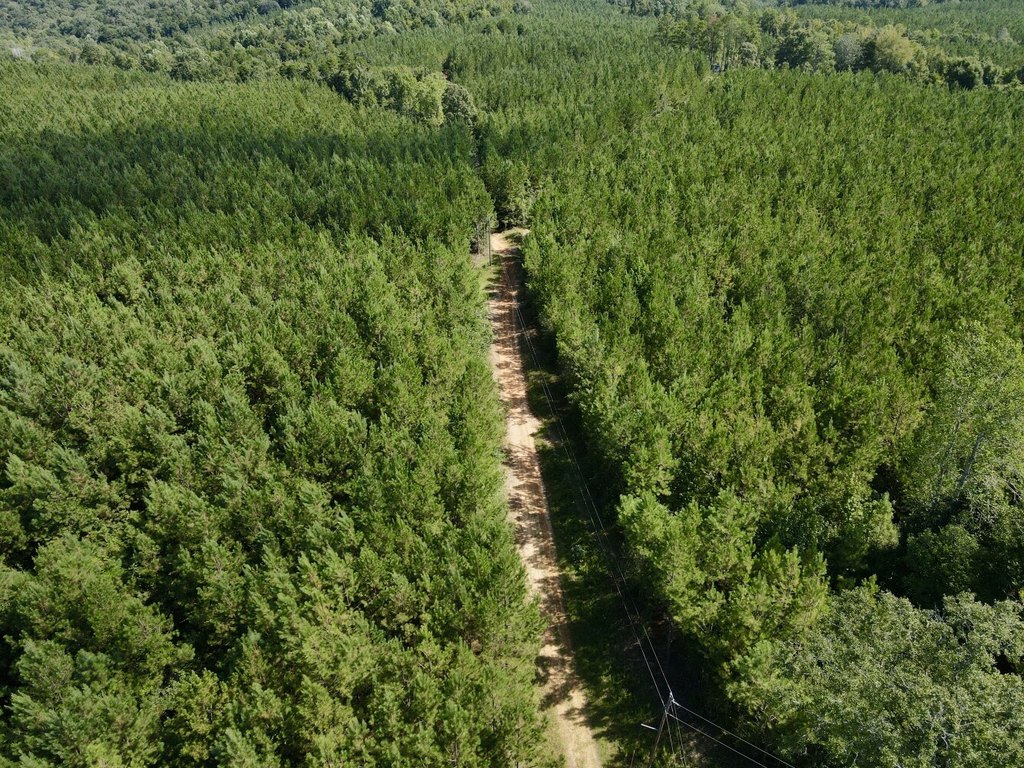 Picture 20