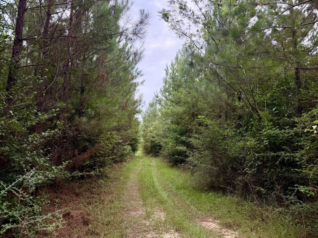 Picture 22