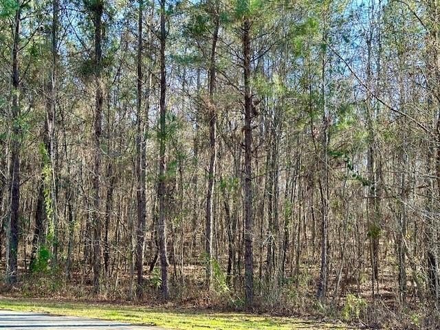 Waverly Hall Land For Sale