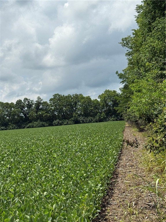Picture 7